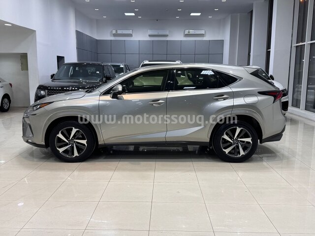 2020 Lexus NX