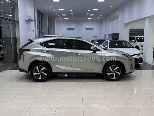 2020 Lexus NX