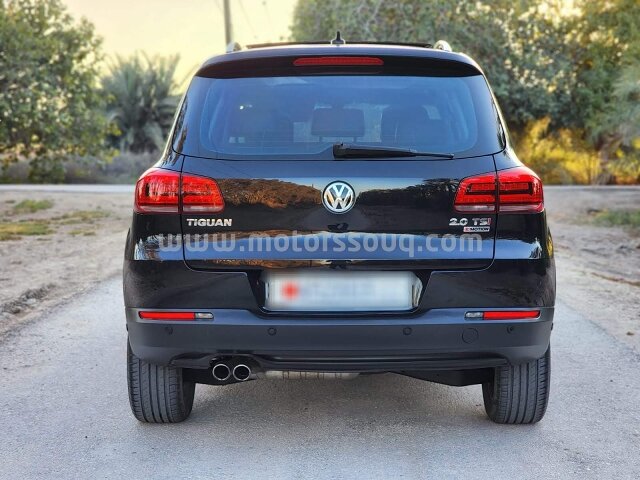 2016 Volkswagen Tiguan