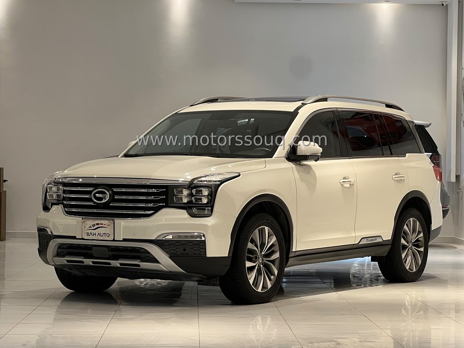 2019 GAC GS8