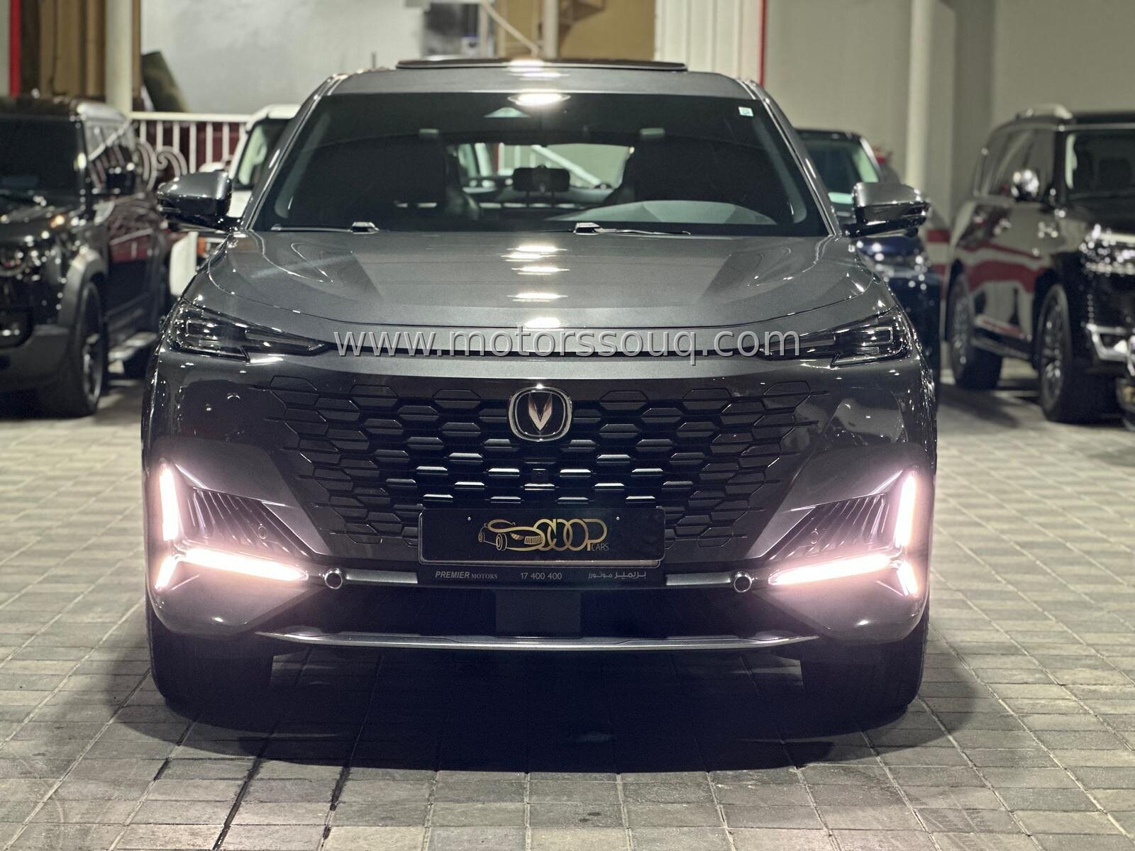 2023 Changan Other