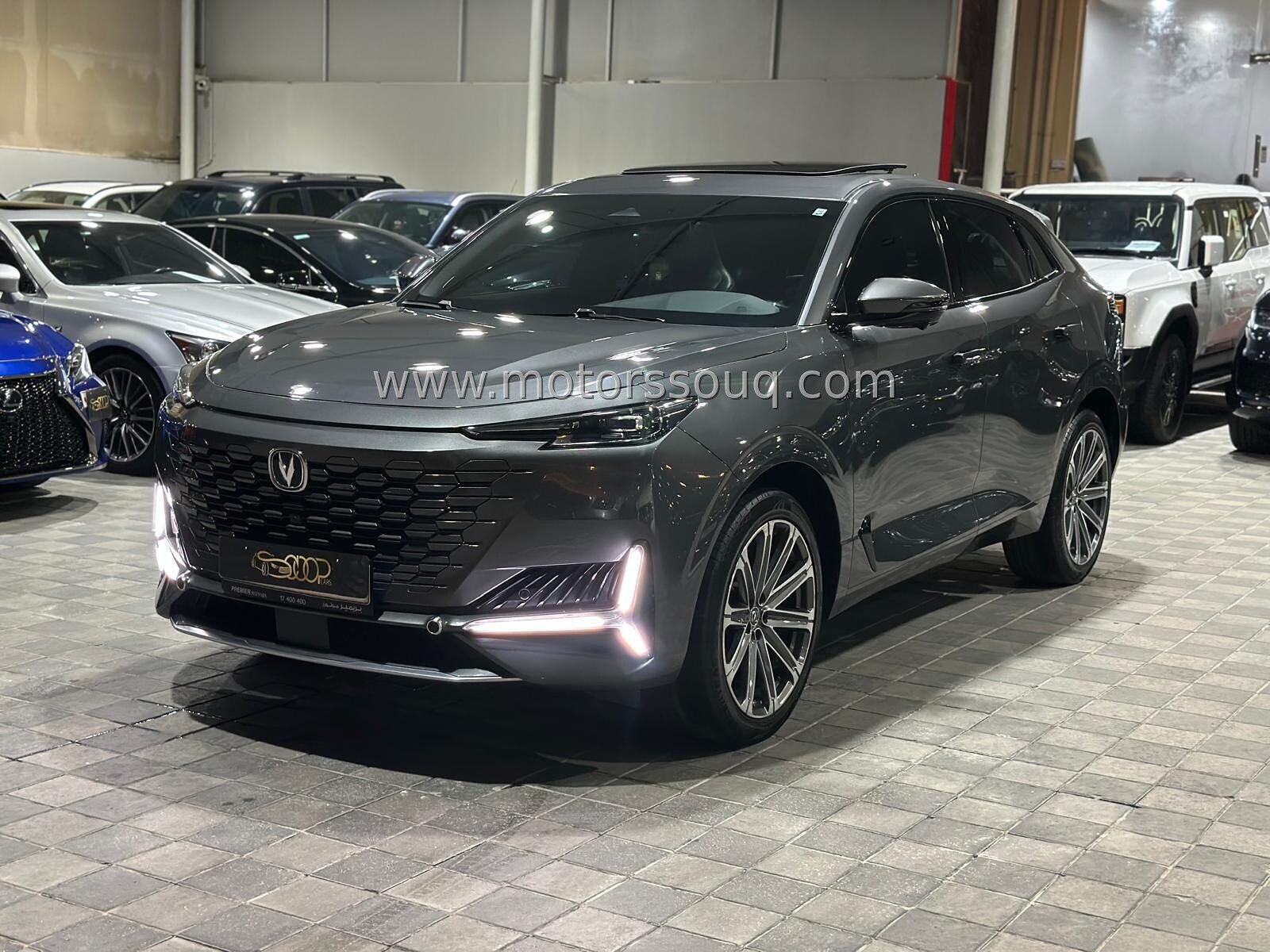 2023 Changan Other